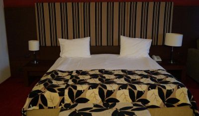 Imagine pentru Hotel Wolf2 4* valabile pentru Craciun 2024