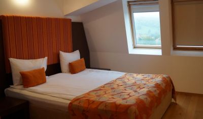 Imagine pentru Hotel Wolf2 4* valabile pentru Craciun 2024