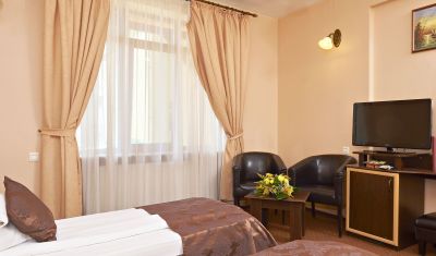 Imagine pentru Pensiunea Ambient 3* valabile pentru Craciun 2024
