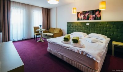 Imagine pentru Pensiunea La Conac in Bucovina 4* valabile pentru Craciun 2024