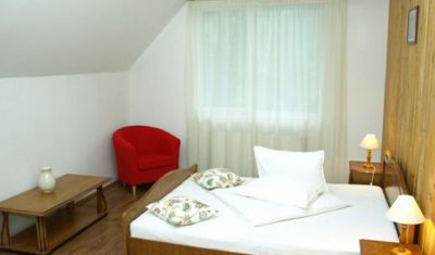 Imagine pentru Vila Alisa 3*  valabile pentru Craciun 2024