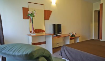 Imagine pentru Hotel Bradul 3* valabile pentru Craciun 2025