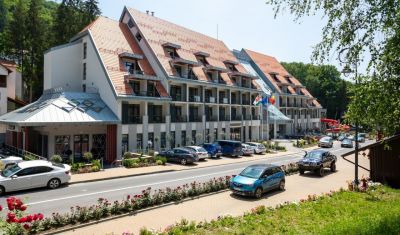 Imagine pentru Hotel Crystal Sovata 4* valabile pentru Craciun 2025