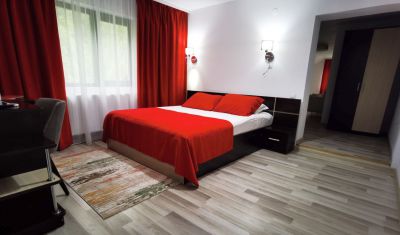 Imagine pentru Hotel Piscul Negru 3*  valabile pentru Craciun 2025