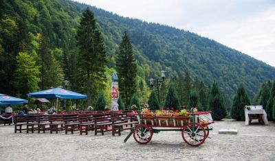 Imagine pentru Hotel Piscul Negru 3*  valabile pentru Craciun 2025