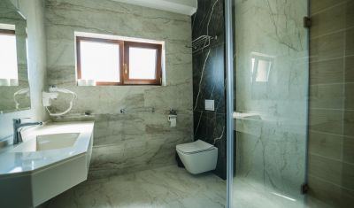 Imagine pentru Pensiunea Palace 4* valabile pentru Craciun 2025