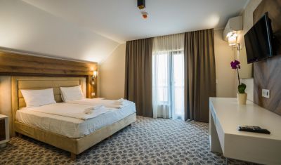 Imagine pentru Pensiunea Palace 4* valabile pentru Craciun 2025