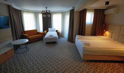 Imagine pentru Pensiunea Palace 4* valabile pentru Craciun 2025