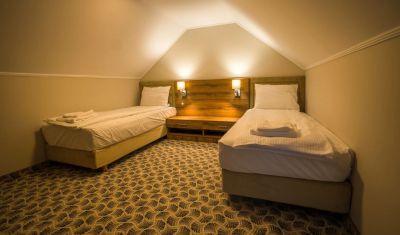 Imagine pentru Pensiunea Palace 4* valabile pentru Craciun 2025