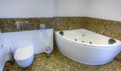 Imagine pentru Hotel Peninsula Resort 4* valabile pentru Delta Dunarii 2023