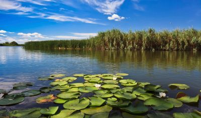 Imagine pentru New Hotel Egreta 4* valabile pentru Delta Dunarii 2025