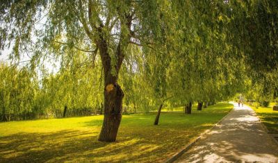 Imagine pentru Puflene Resort 4* valabile pentru Delta Dunarii 2025