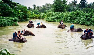 Imagine pentru Thailanda: Pattaya si Bangkok - Plaja, Soare si Mare de 5 stele valabile pentru Iarna 2018/2019