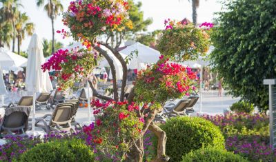 Imagine pentru Hotel Bellis Deluxe 5*  valabile pentru Litoral 2023