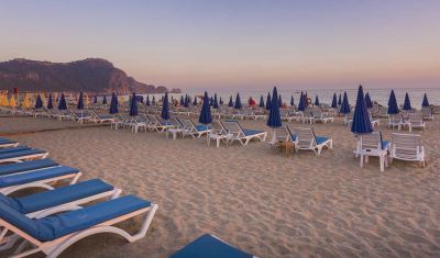 Imagine pentru Lonicera City Hotel 3* valabile pentru Litoral 2023