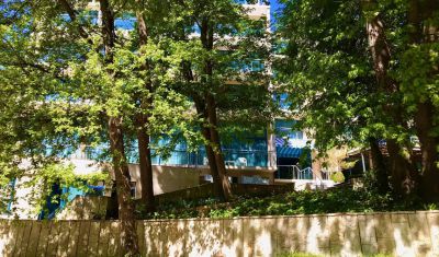Imagine pentru Hotel Holiday Park 4*  valabile pentru Litoral 2024