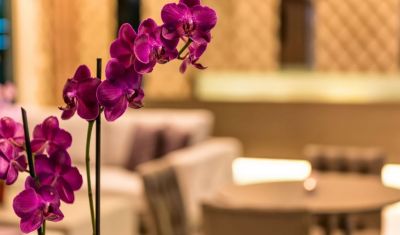Imagine pentru Ariadne Hotel Apartments 2* valabile pentru Litoral 2025