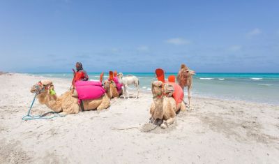 Imagine pentru Djerba Aqua Resort 4* valabile pentru Litoral 2025