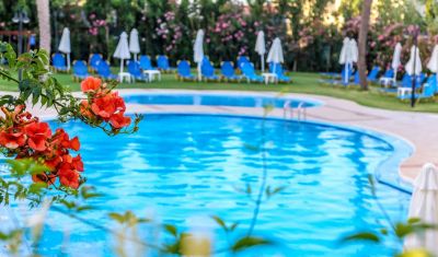 Imagine pentru Hotel Adelais 3* valabile pentru Litoral 2025