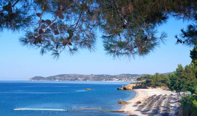 Imagine pentru Hotel Alexandra Beach Thassos Spa Resort 4* valabile pentru Litoral 2025
