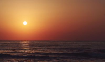 Imagine pentru Hotel Astor Garden 5* valabile pentru Litoral 2025