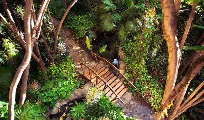 Imagine pentru Hotel Botanico & The Oriental Spa Garden 5* valabile pentru Litoral 2025