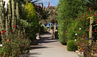 Imagine pentru Hotel Cretan Malia Park 4*  valabile pentru Litoral 2025