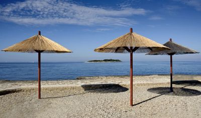 Imagine pentru Hotel Delfin 2* valabile pentru Litoral 2025