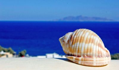 Imagine pentru Hotel Epavlis  4* valabile pentru Litoral 2025