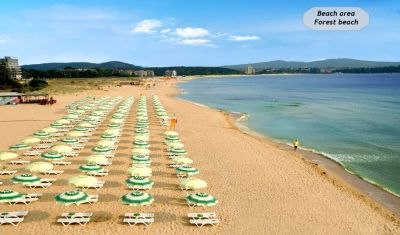Imagine pentru Hotel Forest Beach 4* valabile pentru Litoral 2025