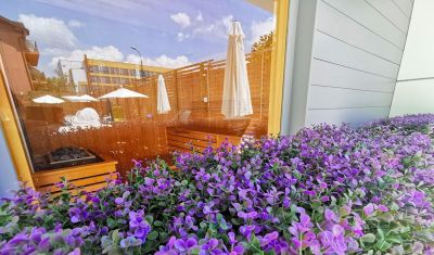 Imagine pentru Hotel Legacy 2* valabile pentru Litoral 2025