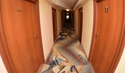 Imagine pentru Hotel Ovicris Selena 2* valabile pentru Litoral 2025