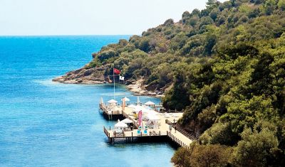Imagine pentru Hotel Paloma Pasha Resort 5*  valabile pentru Litoral 2025