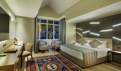 Imagine pentru Hotel Papillon Ayscha 5*  valabile pentru Litoral 2025