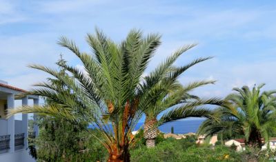 Imagine pentru Hotel Paradise 3* valabile pentru Litoral 2025