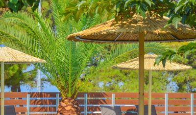 Imagine pentru Hotel Princess Calypso (Adults Only) 3*  valabile pentru Litoral 2025