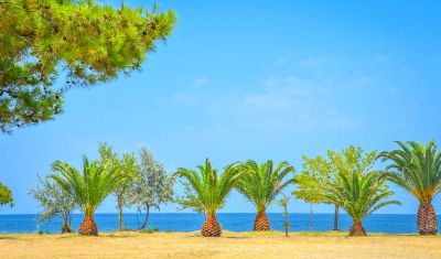 Imagine pentru Hotel Princess Calypso (Adults Only) 3*  valabile pentru Litoral 2025