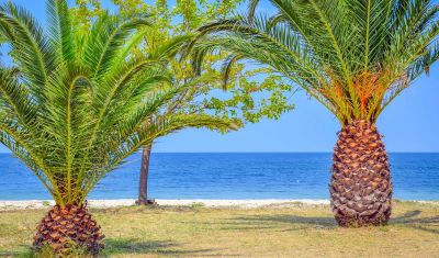 Imagine pentru Hotel Princess Calypso (Adults Only) 3*  valabile pentru Litoral 2025
