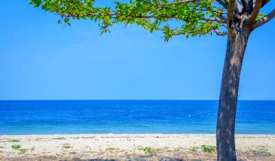 Imagine pentru Hotel Princess Calypso (Adults Only) 3*  valabile pentru Litoral 2025