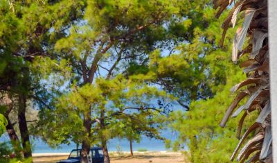 Imagine pentru Hotel Princess Calypso (Adults Only) 3*  valabile pentru Litoral 2025