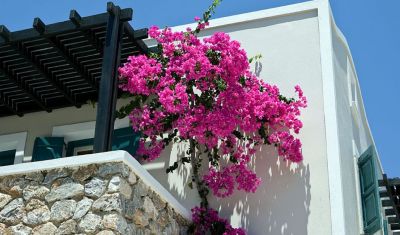 Imagine pentru Hotel Rose Bay 4* valabile pentru Litoral 2025