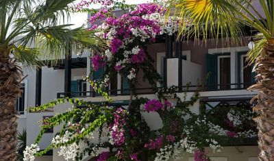 Imagine pentru Hotel Rose Bay 4* valabile pentru Litoral 2025