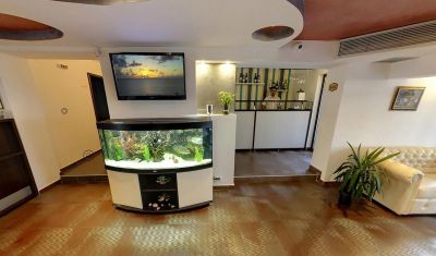 Imagine pentru Hotel Solymar 3* valabile pentru Litoral 2025
