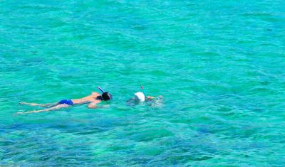 Imagine pentru Hotel Tosca Beach 4* valabile pentru Litoral 2025
