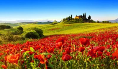 Imagine pentru Hotel Toscana Ambassador 4* valabile pentru Litoral 2025
