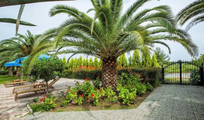 Imagine pentru Hotel Xenios Port Marina 3* valabile pentru Litoral 2025