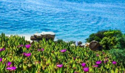 Imagine pentru Hotel Xenios Theoxenia 4*  valabile pentru Litoral 2025