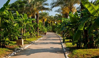 Imagine pentru IC Hotels Green Palace 5* valabile pentru Litoral 2025