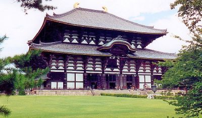 Imagine pentru Japonia - Festivalul Ciresilor in Floare valabile pentru Litoral 2025