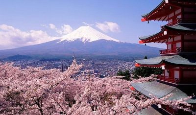 Imagine pentru Japonia - Festivalul Ciresilor in Floare valabile pentru Litoral 2025